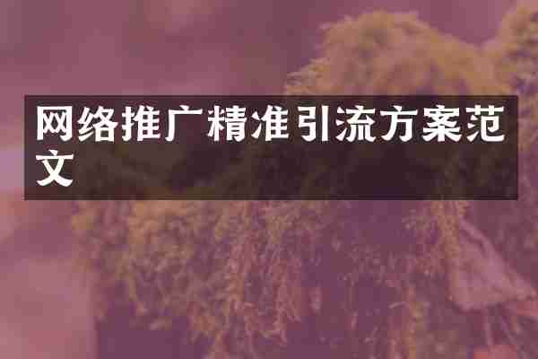 网络推广精准引流方案范文