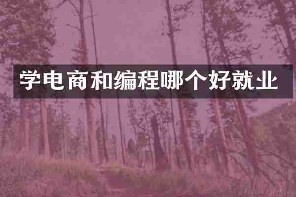 学电商和编程哪个好就业