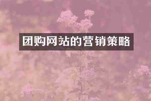 团购网站的营销策略