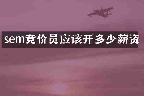 sem竞价员应该开多少薪资