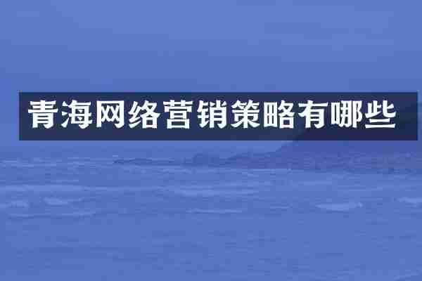 青海网络营销策略有哪些