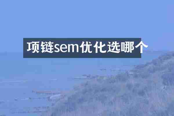 项链sem优化选哪个