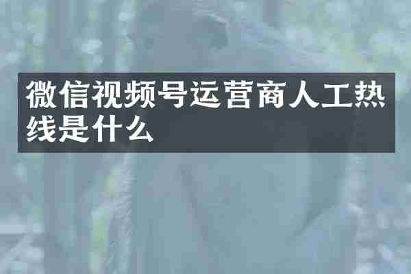 微信视频号运营商人工热线是什么