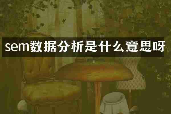 sem数据分析是什么意思呀