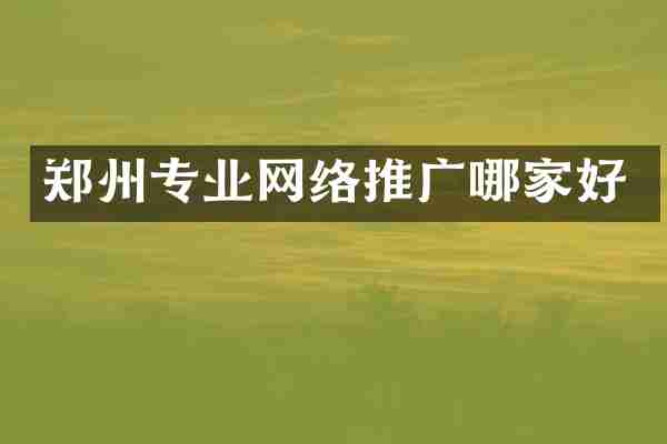 郑州专业网络推广哪家好