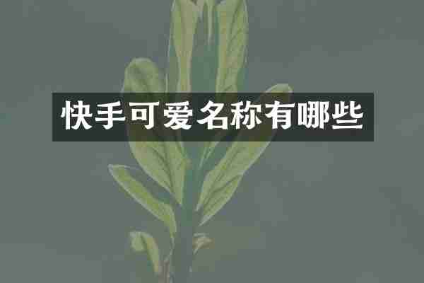 快手可爱名称有哪些