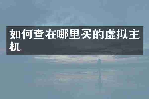 如何查在哪里买的虚拟主机