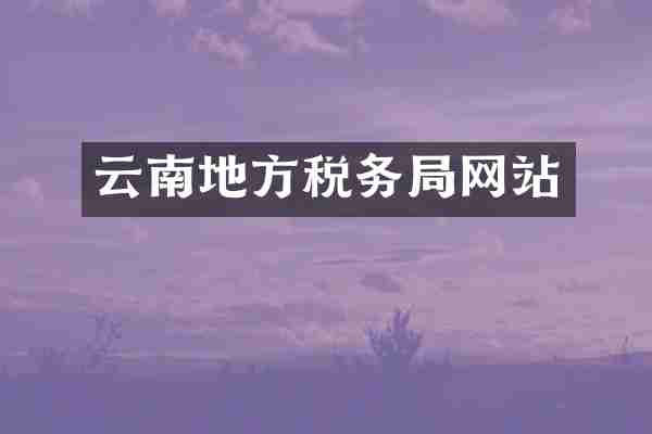 云南地方税务局网站
