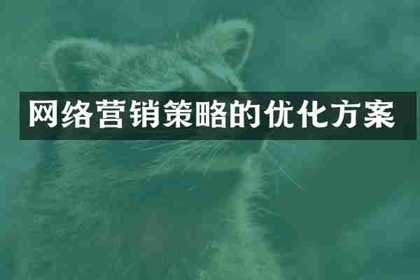 网络营销策略的优化方案