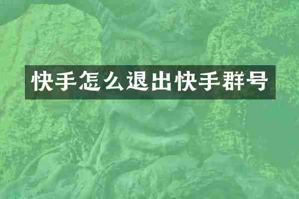 快手怎么退出快手群号