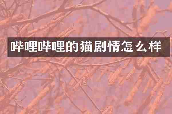 哔哩哔哩的猫剧情怎么样