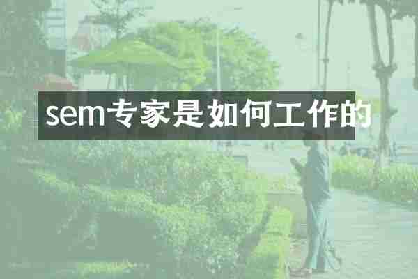 sem专家是如何工作的