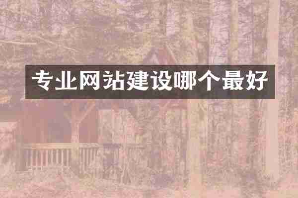 专业网站建设哪个最好
