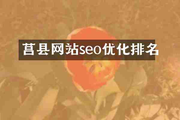 莒县网站seo优化排名