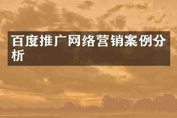 百度推广网络营销案例分析