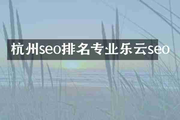 杭州seo排名专业乐云seo