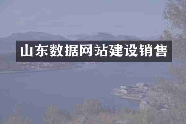 山东数据网站建设销售