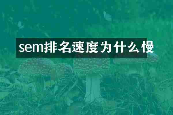 sem排名速度为什么慢