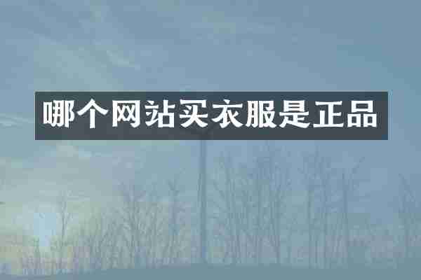 哪个网站买衣服是正品