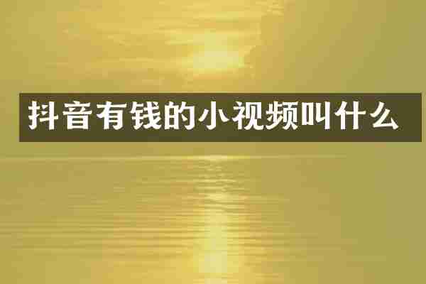 抖音有钱的小视频叫什么