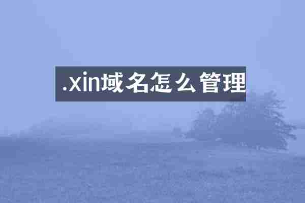 .xin域名怎么管理
