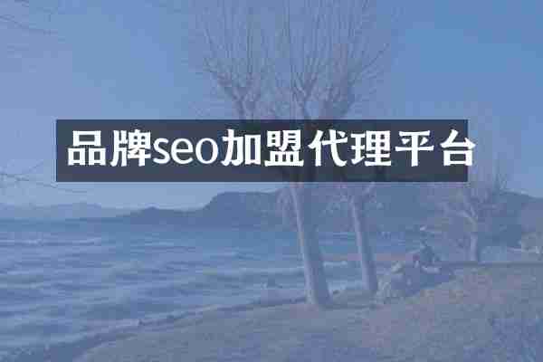 品牌seo加盟代理平台
