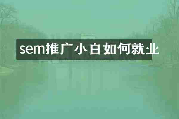sem推广小白如何就业