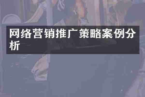 网络营销推广策略案例分析