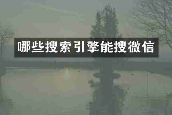 哪些搜索引擎能搜微信