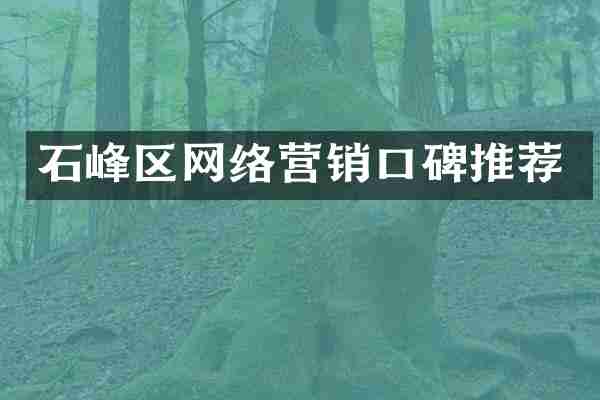 石峰区网络营销口碑推荐