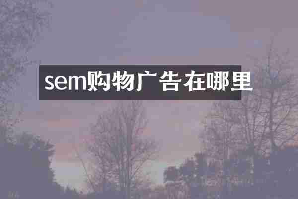 sem购物广告在哪里
