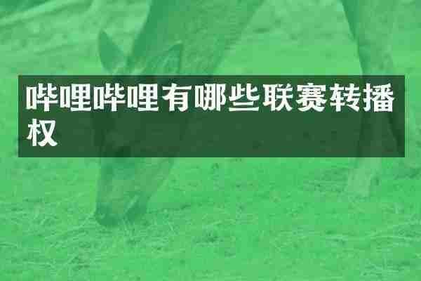 哔哩哔哩有哪些联赛转播权