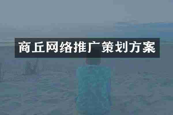 商丘网络推广策划方案