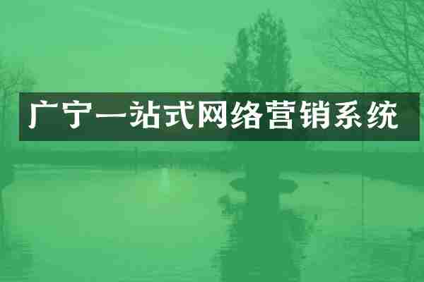 广宁一站式网络营销系统