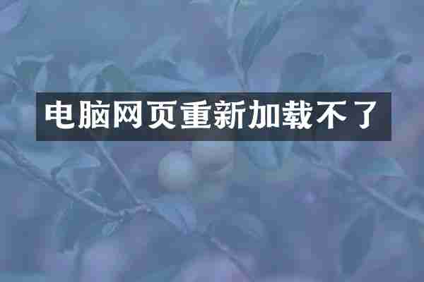 电脑网页重新加载不了