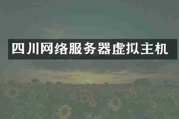 四川网络服务器虚拟主机