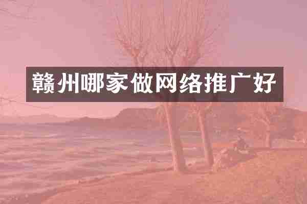 赣州哪家做网络推广好