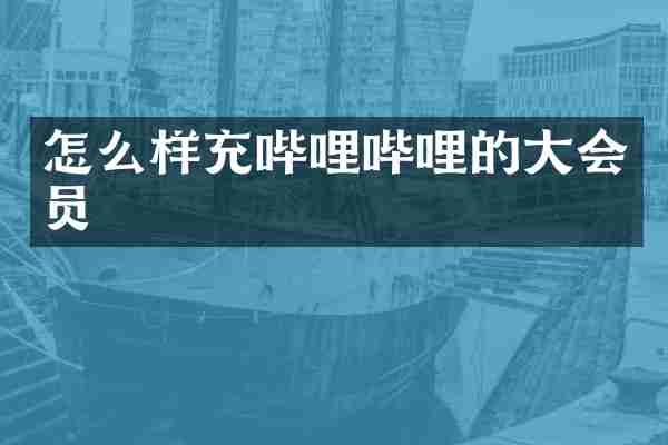 怎么样充哔哩哔哩的大会员