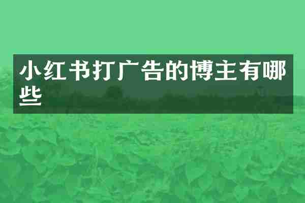 小红书打广告的博主有哪些