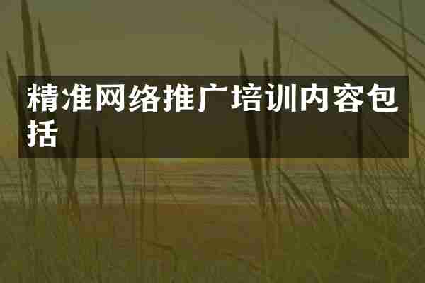 精准网络推广培训内容包括