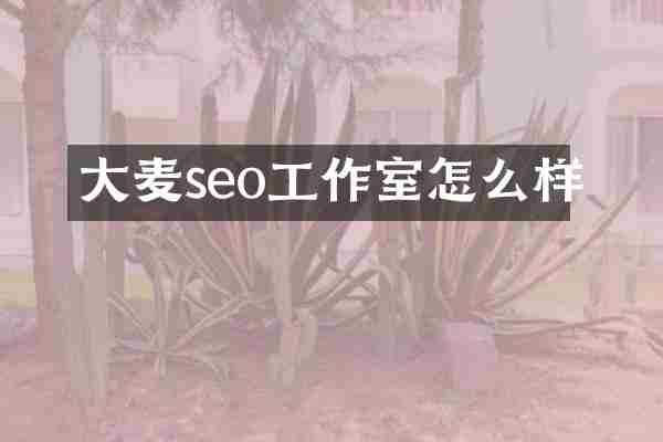 大麦seo工作室怎么样