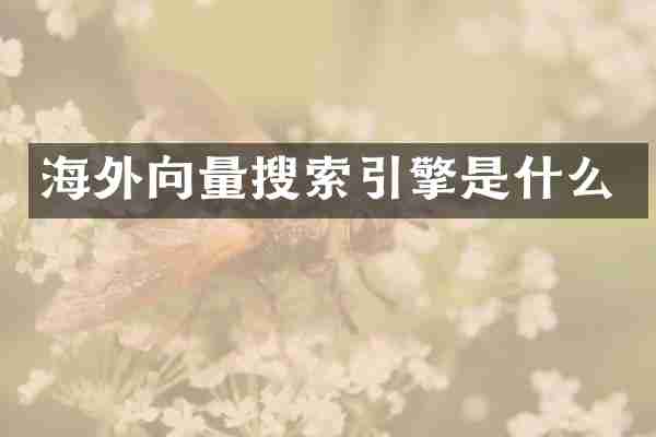 海外向量搜索引擎是什么