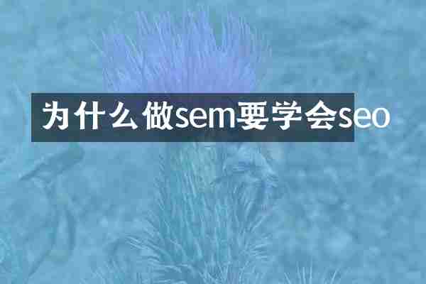为什么做sem要学会seo