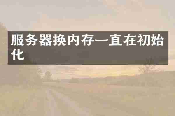 服务器换内存一直在初始化