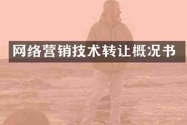 网络营销技术转让概况书