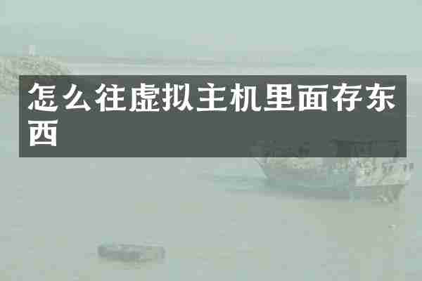怎么往虚拟主机里面存东西
