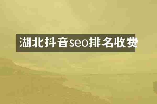 湖北抖音seo排名收费