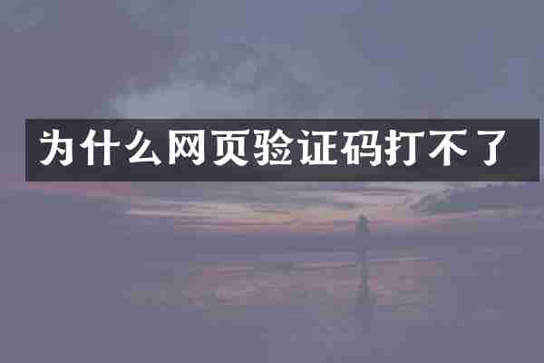 为什么网页验证码打不了