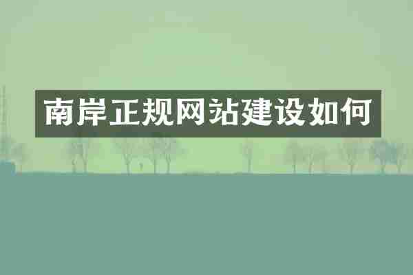 南岸正规网站建设如何