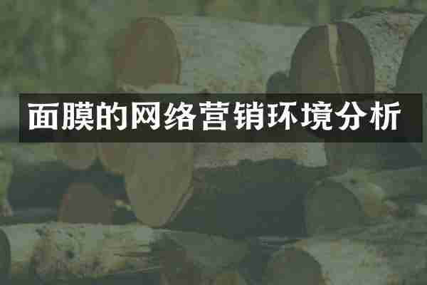面膜的网络营销环境分析